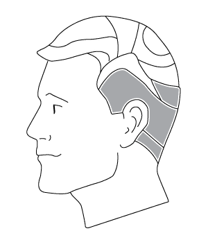 Head base - Left view