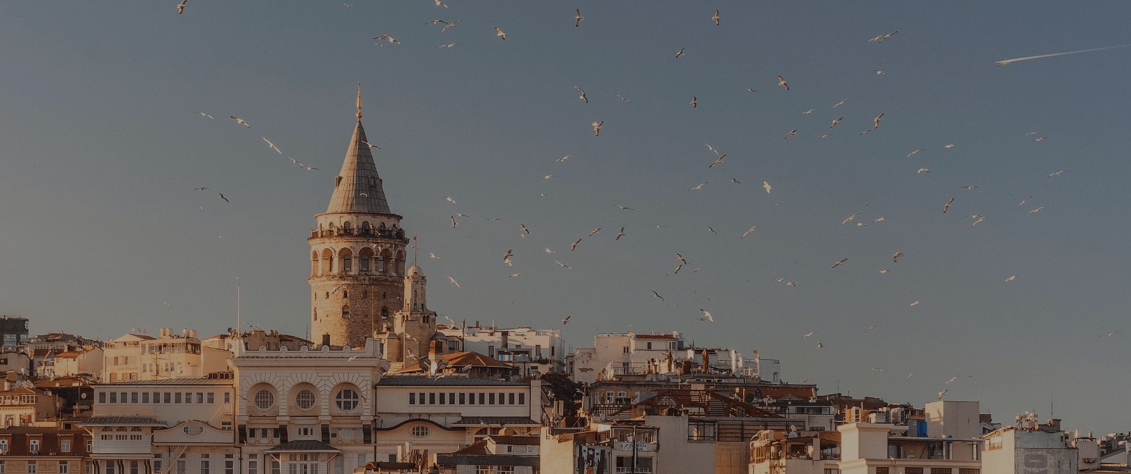 Istanbul Galata Tower scene